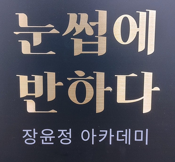 다산자연눈썹, 눈썹에 반하다.