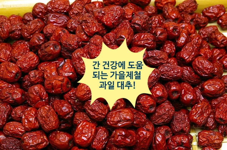  간 건강을 지켜줄 가을 제철 과일 대추!!