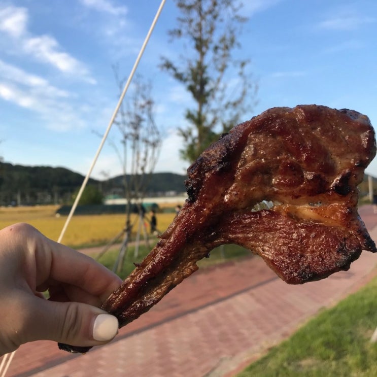 [구미여행]캠핑의 완성 먹방 구미차박 여행