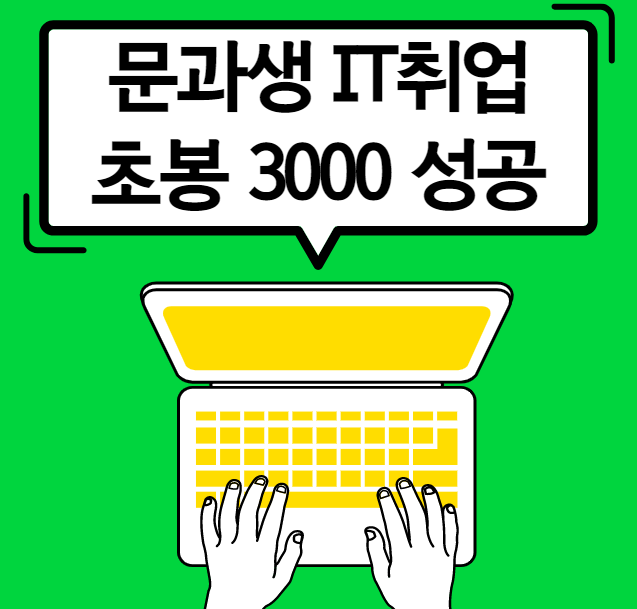 경력 13년 컨설턴트가 말해주는 문과생 IT취업 초봉3000