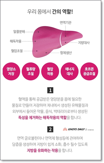  만성피로가온다면 뉴트리코어 밀크씨슬 먹어야되는 6가지이유