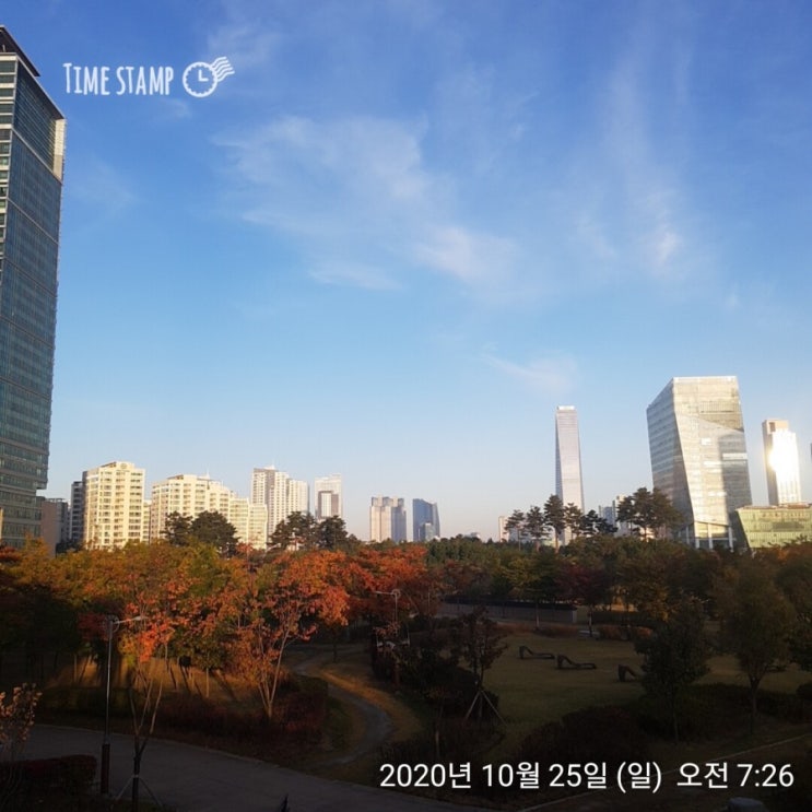  [송도 부자아빠 미친 100일 - 58일차] 감사, 잠자는 거인을 깨우는 힘