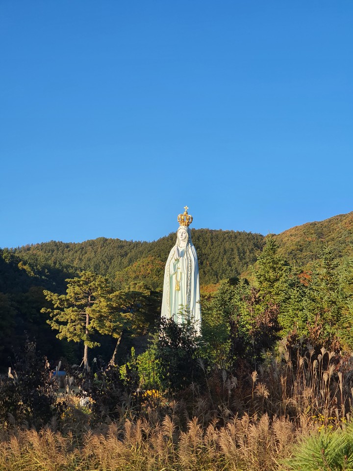  [경기 광주] 천주교 발상지, 천진암성지 단풍보며 산책하기