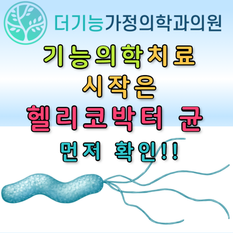  기능의학의 검사와 치료의 시작은 헬리코박터 파일로리 균부터!!!!!!