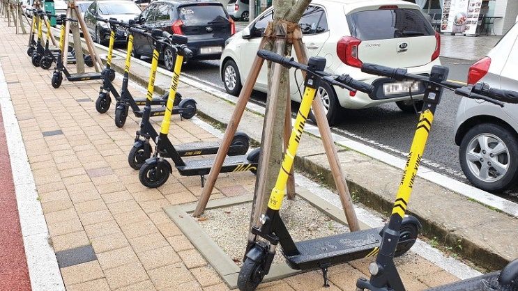 전동킥보드 사고 나면 … 이상한 보상과 탐욕