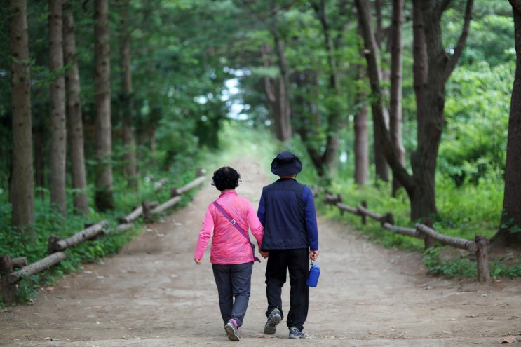 부모님댁 인테리어 꿀팁 대 방출  ~! 델피늄 디자인