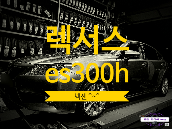  렉서스 ES300H 타이어 고민 중이시라고요?