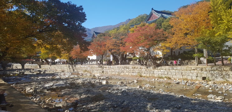  [경남 가족나들이 가 볼만 한 곳]양산 통도사