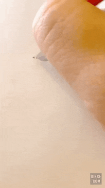  172획 한자.gif