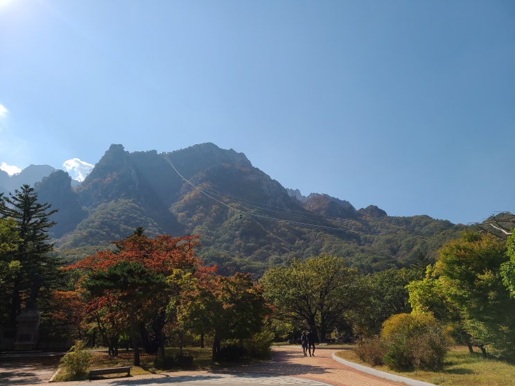  설악산 단풍 구경 주차 꿀 팁, 설악산 케이블카