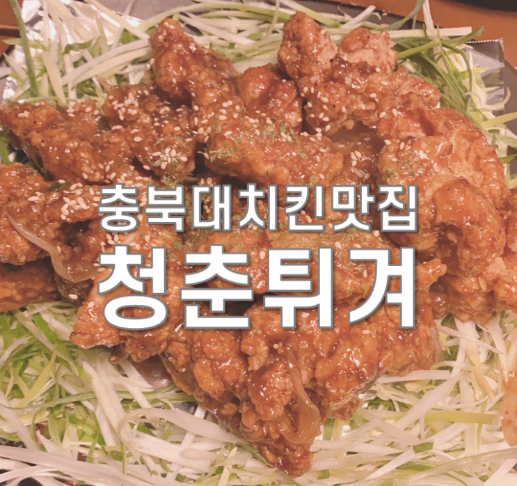  청주 충북대 맛집 청춘튀겨 치킨이 맛깔나요