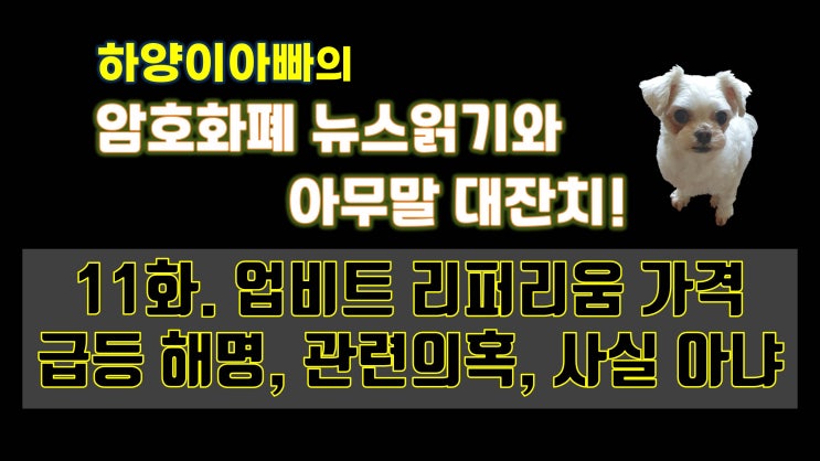  [아무말대잔치] 11화. 업비트 리퍼리움 가격급등 해명, 관련의혹, 사실 아냐(Feat.하양이아빠)
