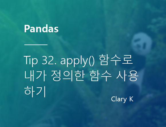 [파이썬] 판다스(pandas) 팁32. apply(), lambda() 함수 활용하여 변수 생성하기