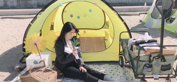  서울근교 당일치기 여행 대부도피크닉 알로하피크닉
