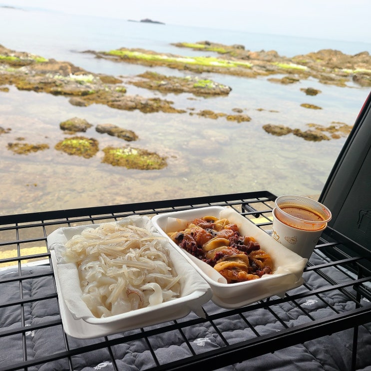  camping : ) 포항,죽도시장,오징어회,멍게,차박
