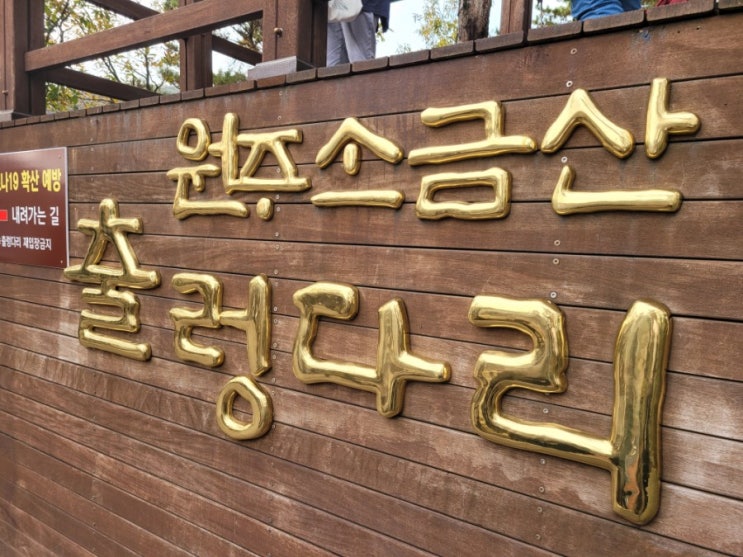  강원도 원주)) (2) 소금산 출렁다리