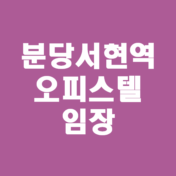  <초보경매 이야기> 서현역 오피스텔  2020타경 171 임장
