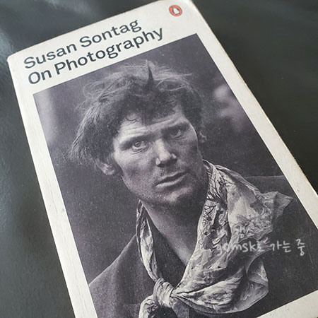  수전 손택의 On Photography, 사진에 관하여. 사진은 폭력적이다