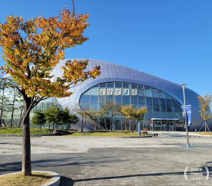  인천 가볍게 산책하기 좋은곳. 단풍 구경할 겸 계양 경기장 나들이 다녀 왔네요.