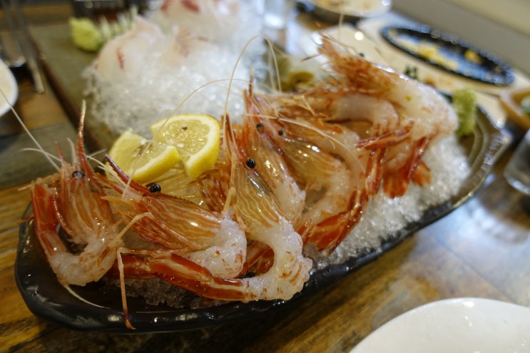  광주 첨단 횟집! 자연산회와 달달한 독도새우까지! 제주바다를 품은 "애월항"