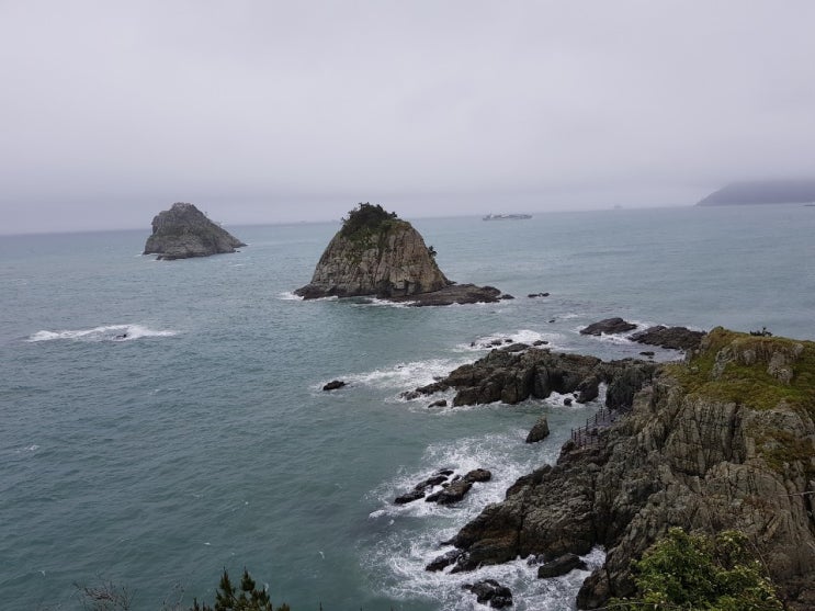  부산여행- 부산시티투어버스