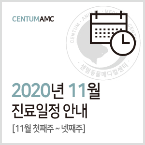  [진료일정]2020년 11월 진료 안내 (수영역 2번 출구 센텀동물메디컬센터)