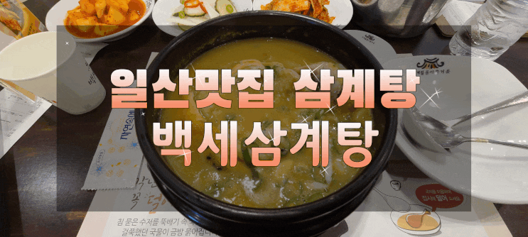  일산맛집 백세삼계탕 고양점에서 삼계탕 먹고 몸보신하고 왔어요~!