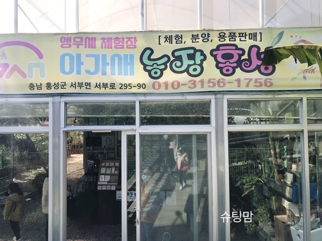  홍성 아가새농장 충남 가볼만한곳 추천 작은동물원