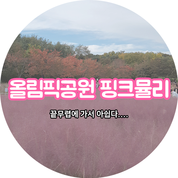  올림픽공원 핑크뮬리 위치 및 상황 궁금하다면