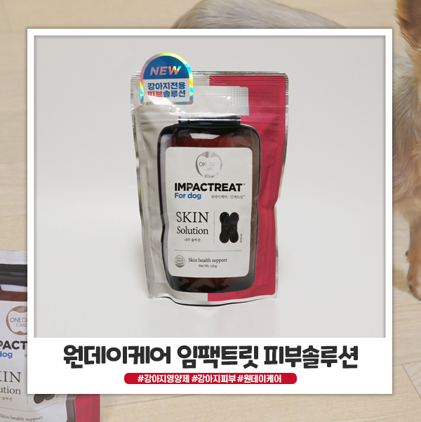 원데이케어 임팩트릿 안심하고 급여할 수 있어요 원데이케어 임팩트릿 안심하고 급여할 수 있어요