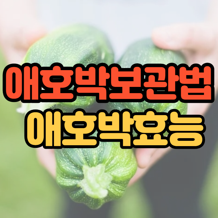  애호박 보관법 애호박 효능 오래두고 먹을 수 있어요