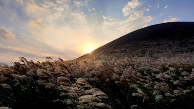 제주도 차박여행 협재해수욕장(새별오름 금능해수욕장)