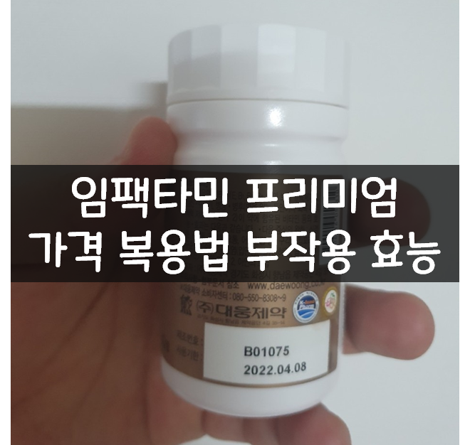  임팩타민 프리미엄 가격 복용법 부작용 효능