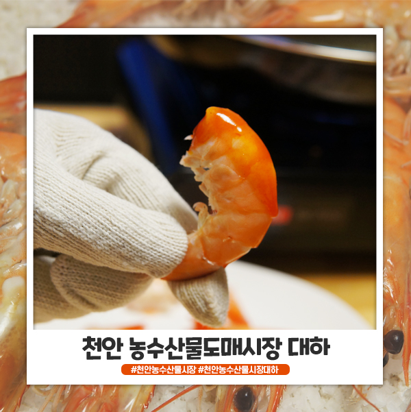 천안 농수산물 도매시장 대하 (흰다리새우) 사다 먹었어요