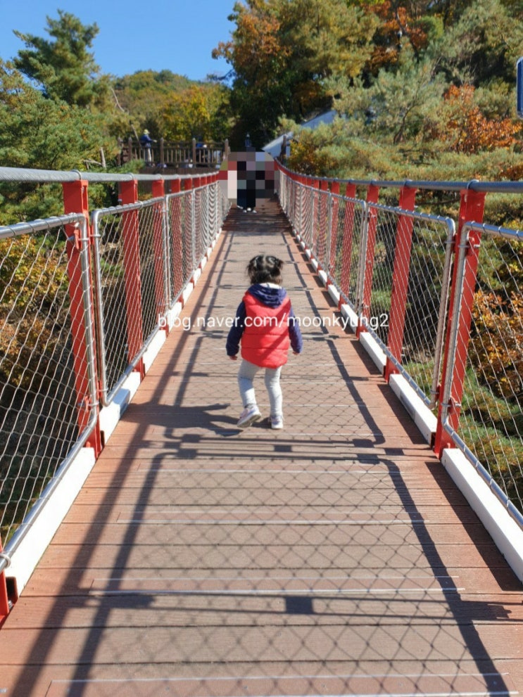 [파주여행] 감악산출렁다리 범륜사 손마중길 전망대 벌써 단풍이 울긋불긋