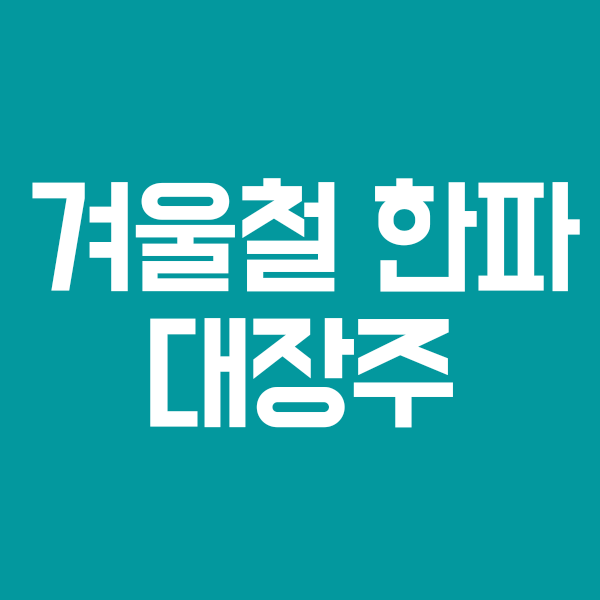 겨울철 한파 관련주 수혜주 대장주 TOP3 (추위,난방,식품,의류 테마)