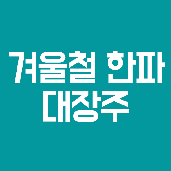  겨울철 한파 관련주 수혜주 대장주 TOP3 (추위,난방,식품,의류 테마)