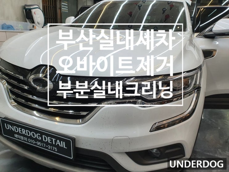  부산실내세차로 내 아이 오바이트 냄새 제거