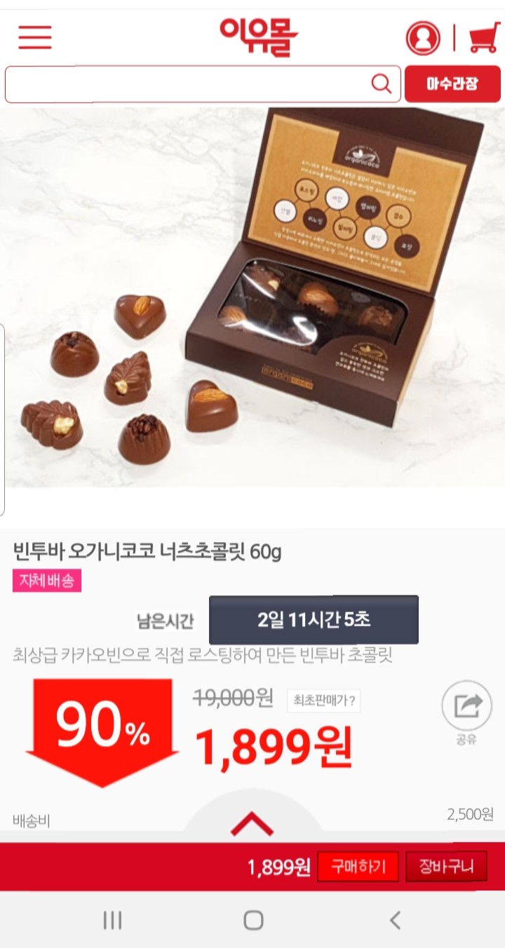  임박 빈투바 너츠초콜렛 60g(유료배송)