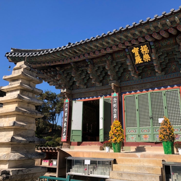  여주 신륵사 단풍이 아름다워