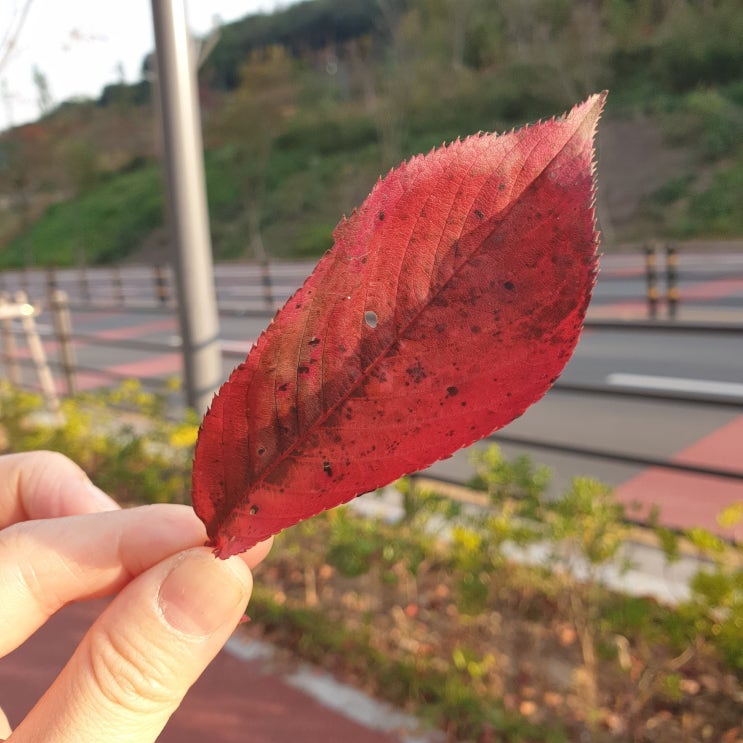  2020.10.19~10.24 일기장