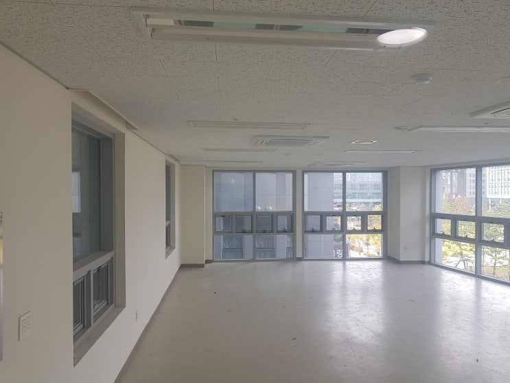  마곡동 사무실 우드 블라인드