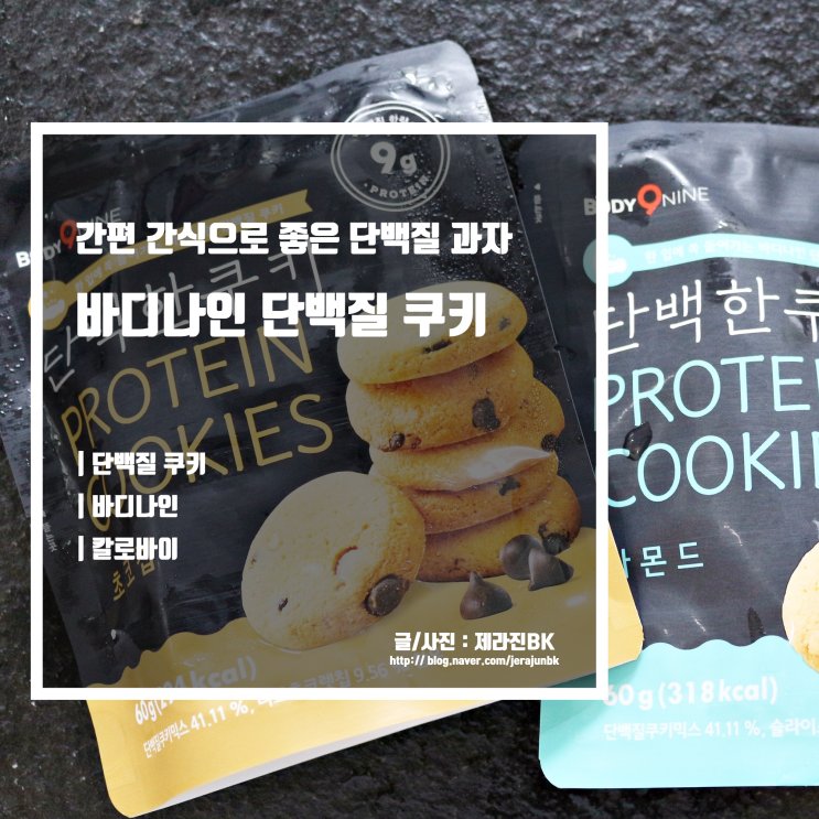  단백질 간식 추천 칼로바이 바디나인 단백질 쿠키