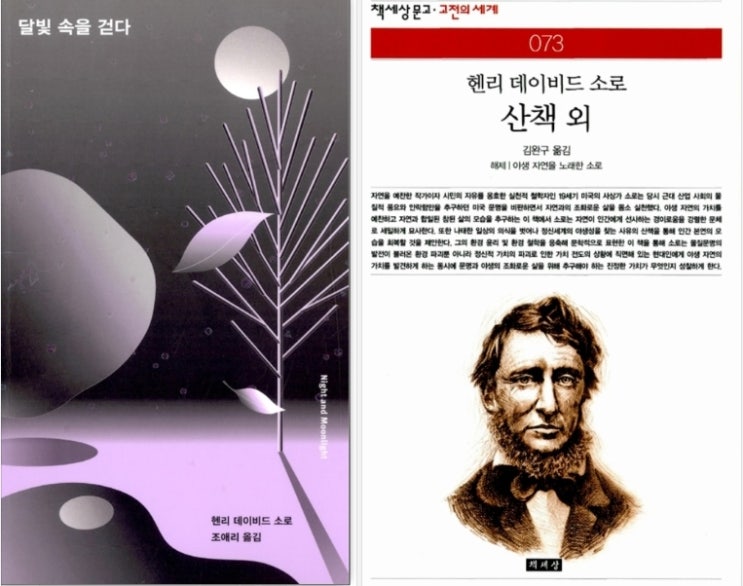  Excursions (Henry David Thoreau, eBook)