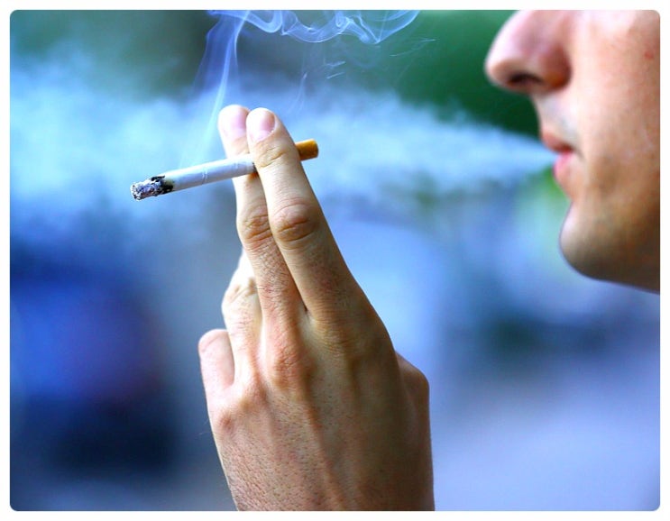담배속 니코틴과 타르, 일산화탄소 탐구..   간접흡연이 더 나쁜 이유