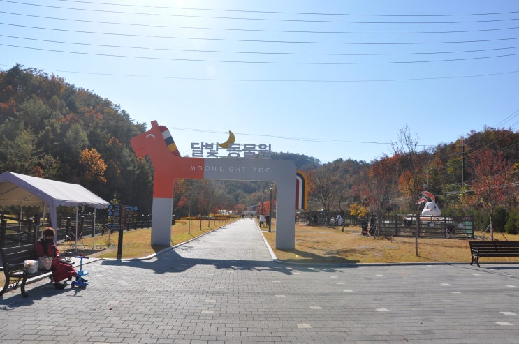  [영월 가볼만한곳]영월 달빛동물원. 가까워서 가볼만은 하네요. 캠핑족은 추천.. 동물원은 그다지..
