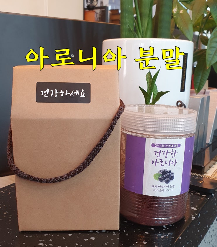  아로니아 가루 한달 복용 후기