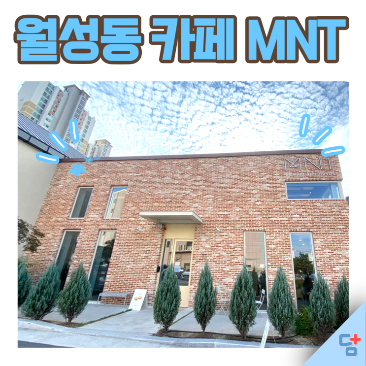[MNT 카페] 월성동 카페 엠엔티 내돈내산 후기 