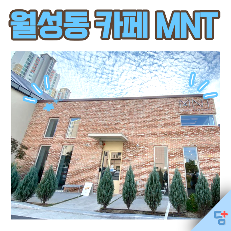  [MNT 카페] 월성동 카페 엠엔티 내돈내산 후기 