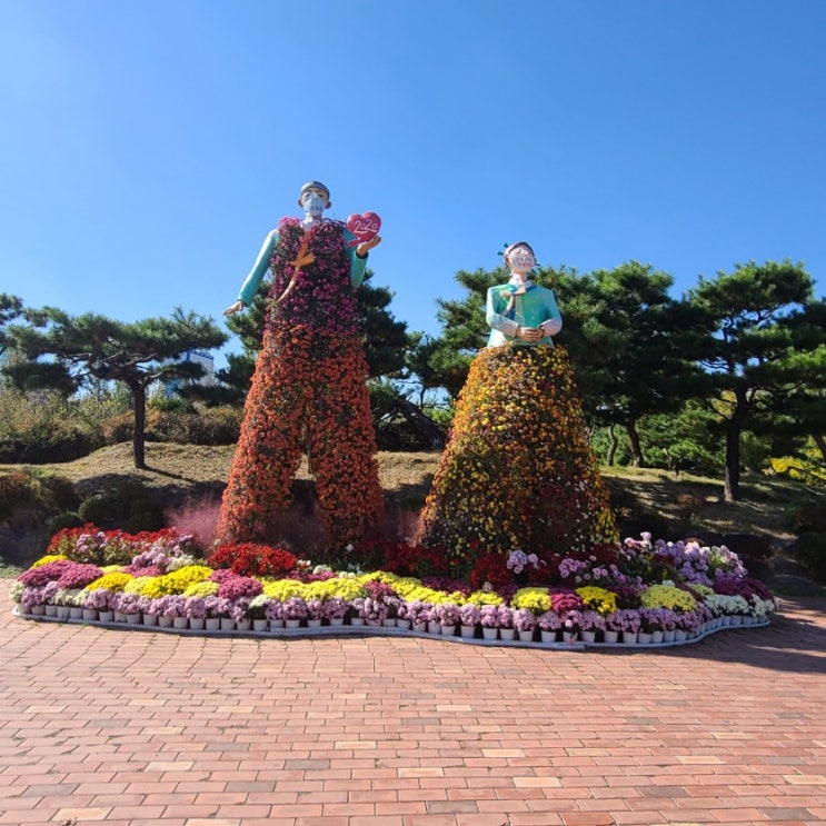  유림공원 국화축제 대전 유성 아이와 가볼만한곳 추천